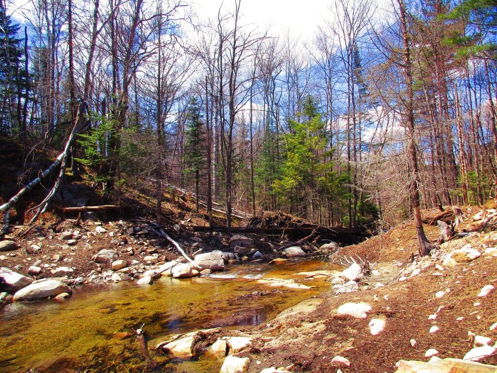Photo: Beaver Dam Was Gone Photo: Beaver Dam Was Gone