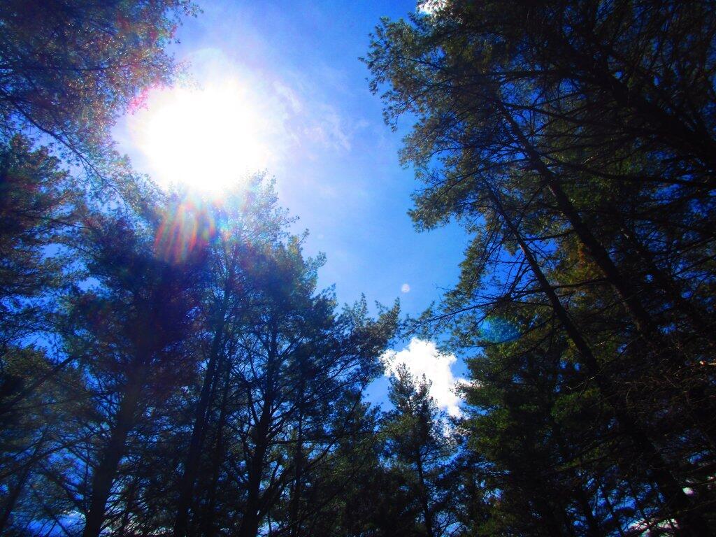 Photo: Hammock View Photo: Hammock View