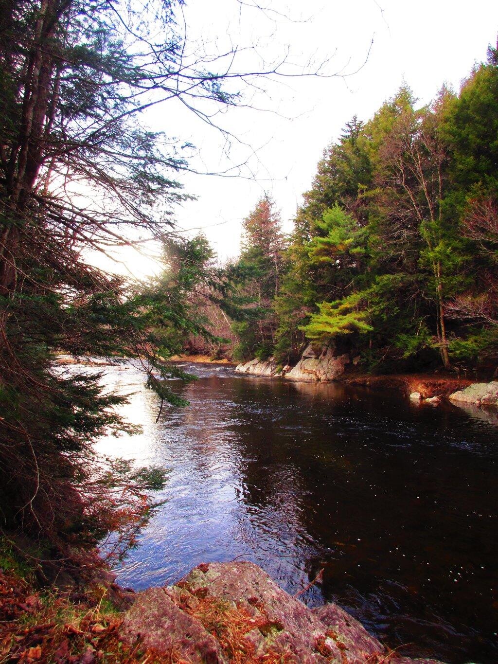 Photo: Must Be A Great Swimming Hole Photo: Must Be A Great Swimming Hole