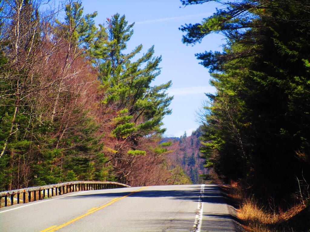 Photo: Nice Spring Day For A Walk On NY 8 Photo: Nice Spring Day For A Walk On NY 8