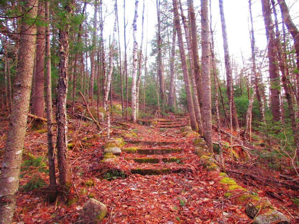 Photo: Stairway