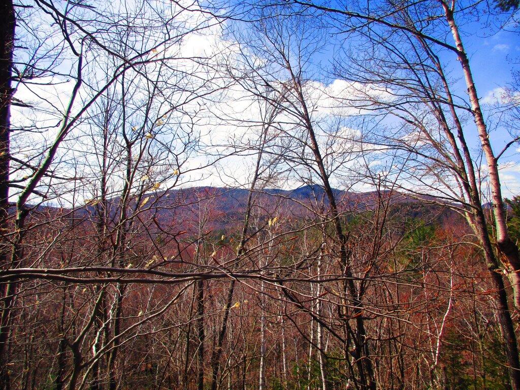 Photo: View From The Ledge Above Eagle Pond Swamp Photo: View From The Ledge Above Eagle Pond Swamp