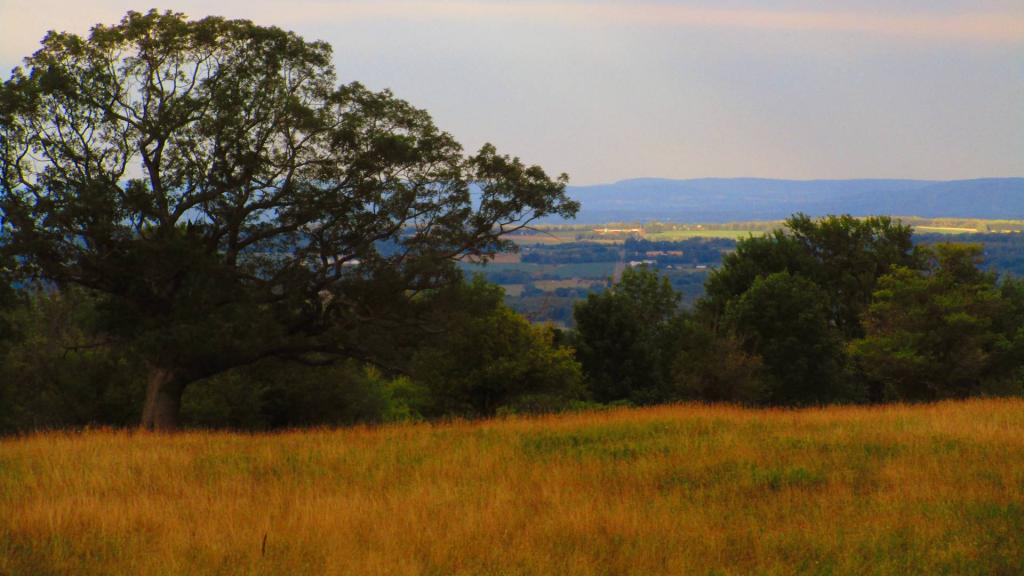 Photo: Evening Looking East Towards Endfield