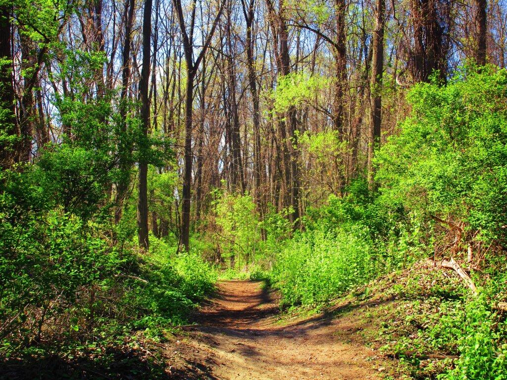 Photo: Beautiful Spring Day
