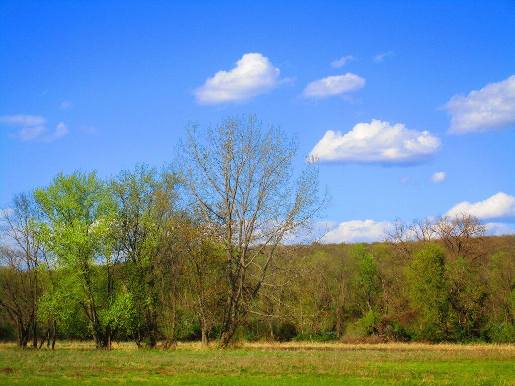 Photo: Nice Spring Afternoon Photo: Nice Spring Afternoon