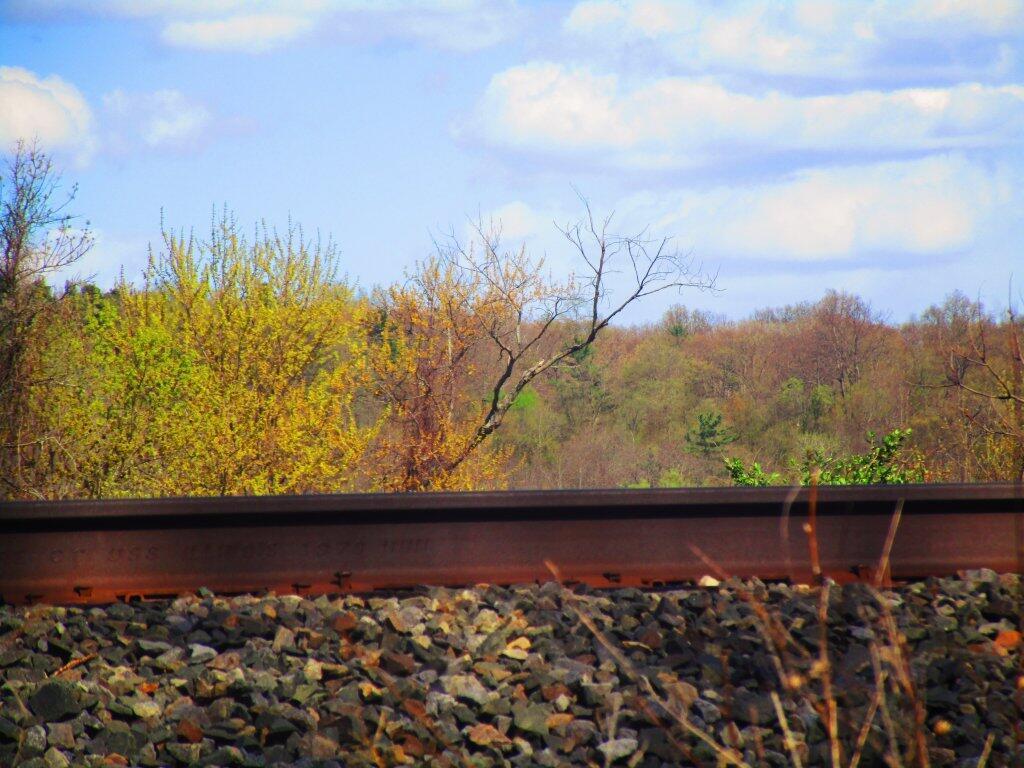 Photo: Steel Rail Heard The News Photo: Steel Rail Heard The News