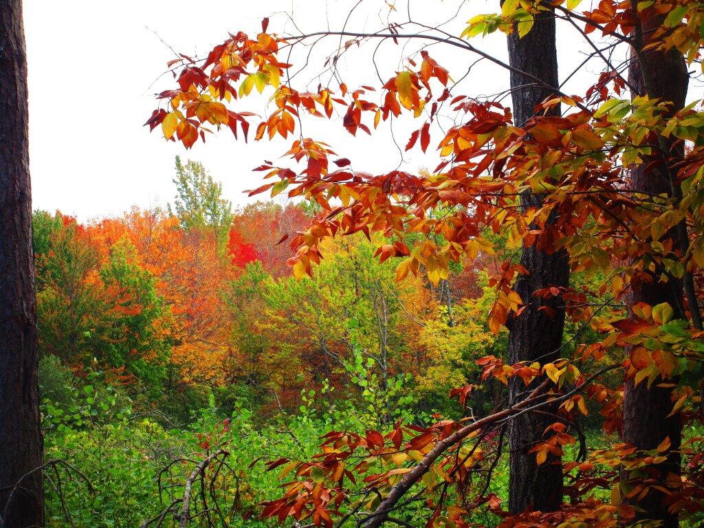 Photo: A Bit Gray But Colorful