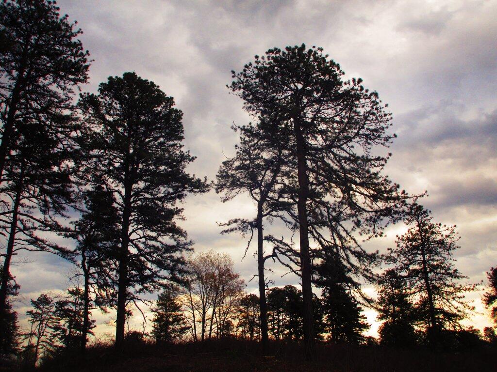 Photo: Evening Photo: Evening