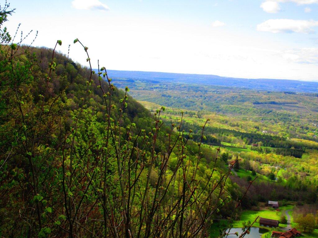 Photo: North Point