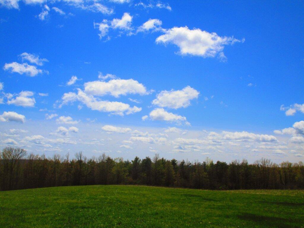 Photo: Spring Is Late Photo: Spring Is Late