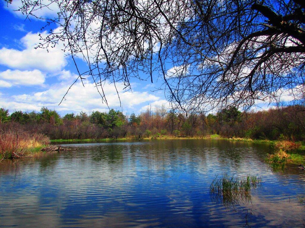Photo: Thacher Park Pond