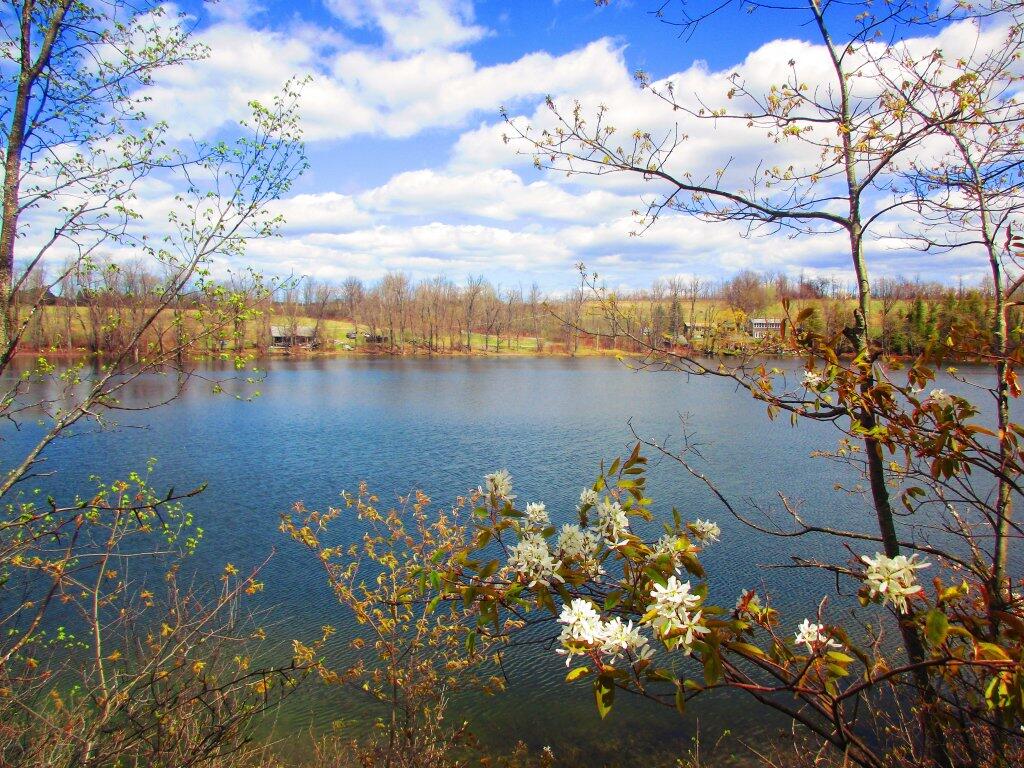Photo: Thompsons Lake Photo: Thompsons Lake