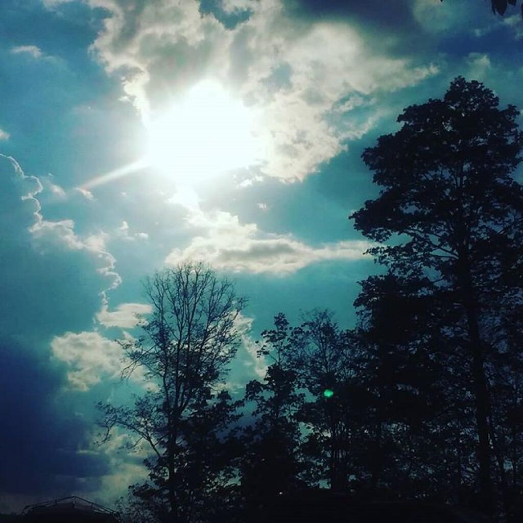 Photo: Clearing