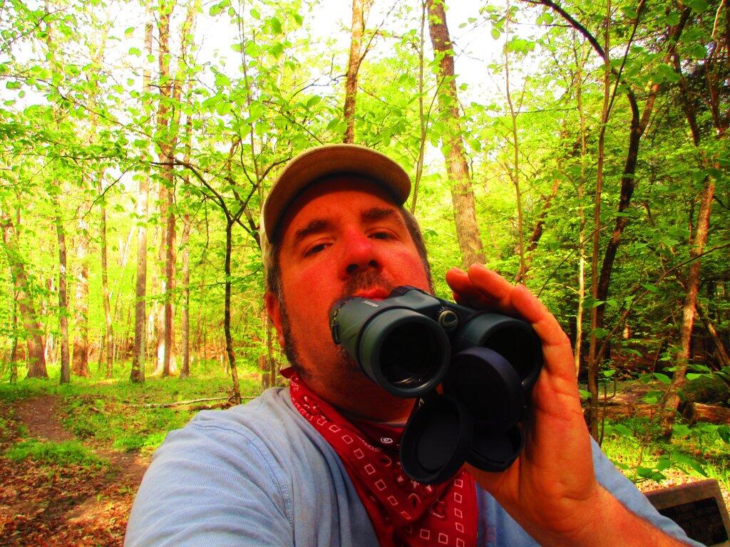 Photo: Bird Watching Photo: Bird Watching