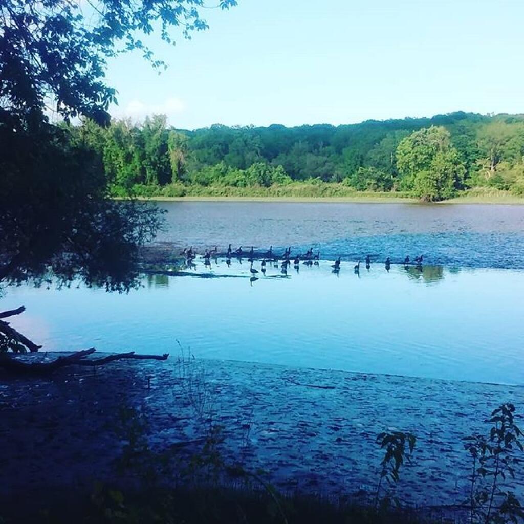 Photo: Schodack Creek is Almost Dry Photo: Schodack Creek is Almost Dry