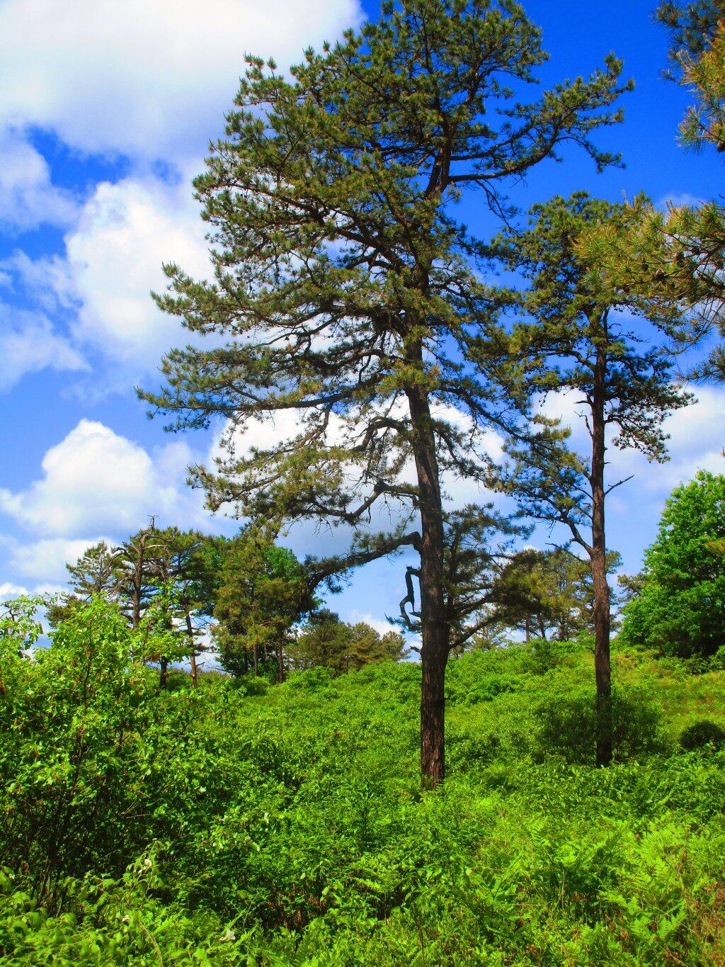Photo: Beautiful Day