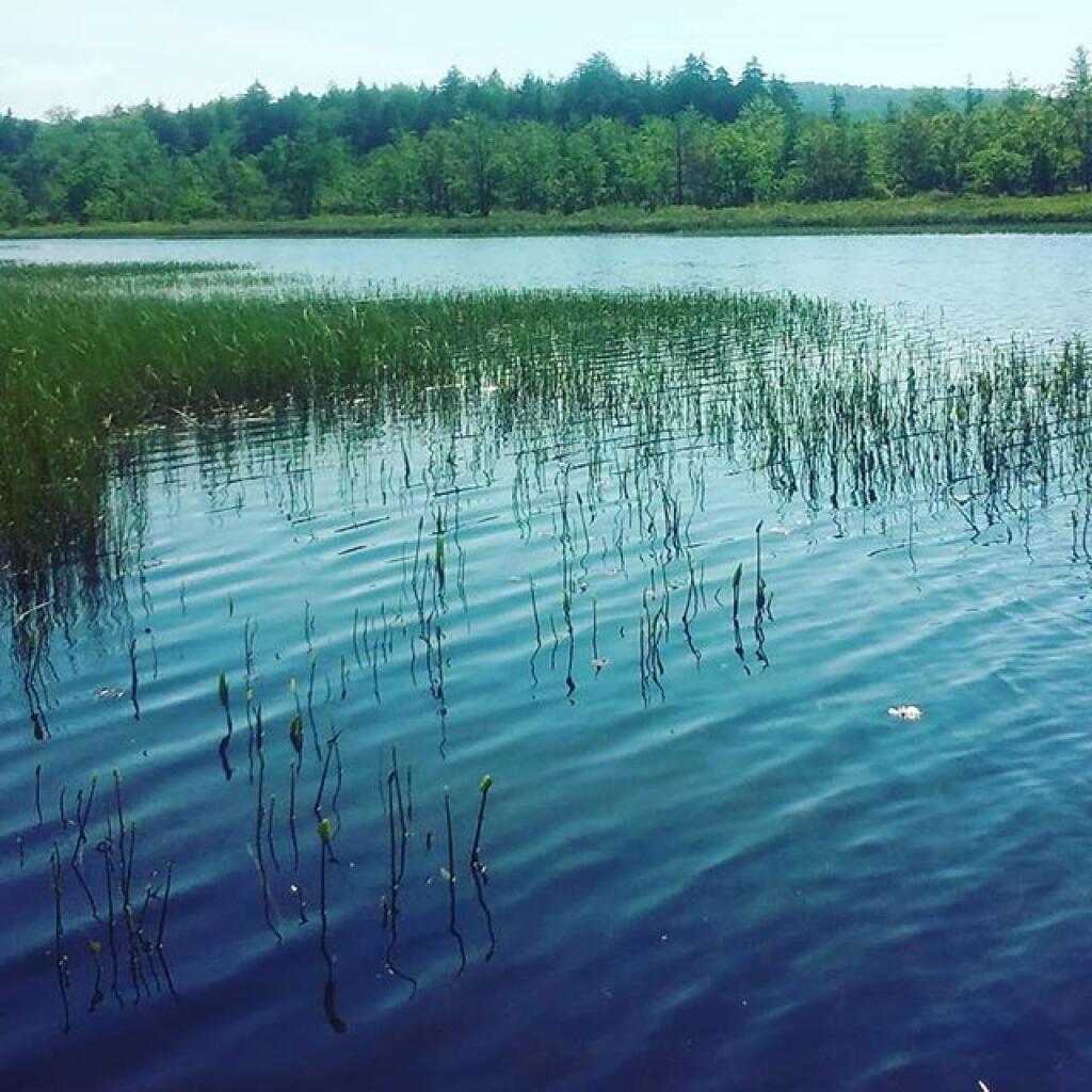 Photo: Sacandaga River Photo: Sacandaga River