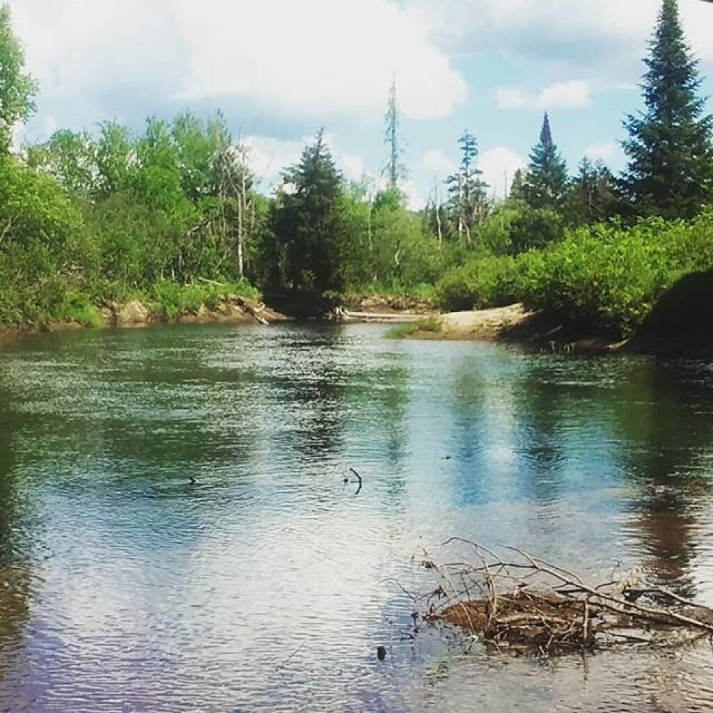 Photo: Jessup River