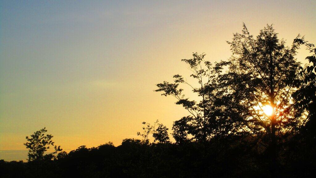 Photo: Summer Is Coming Photo: Summer Is Coming