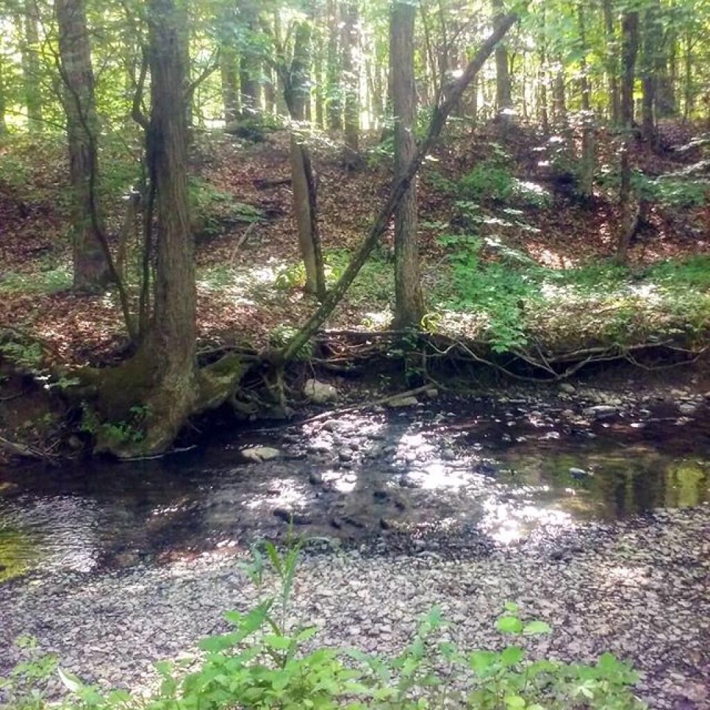 Photo: Just a trickle Photo: Just a trickle