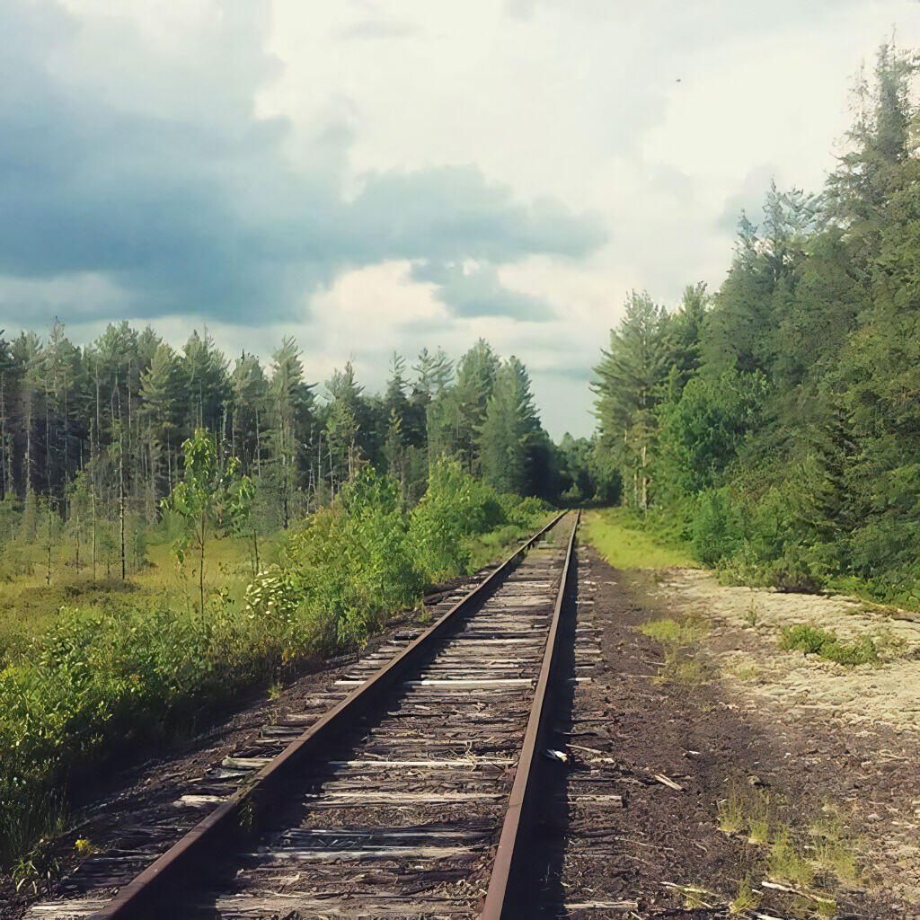 Photo: East of the Bog River Flow
