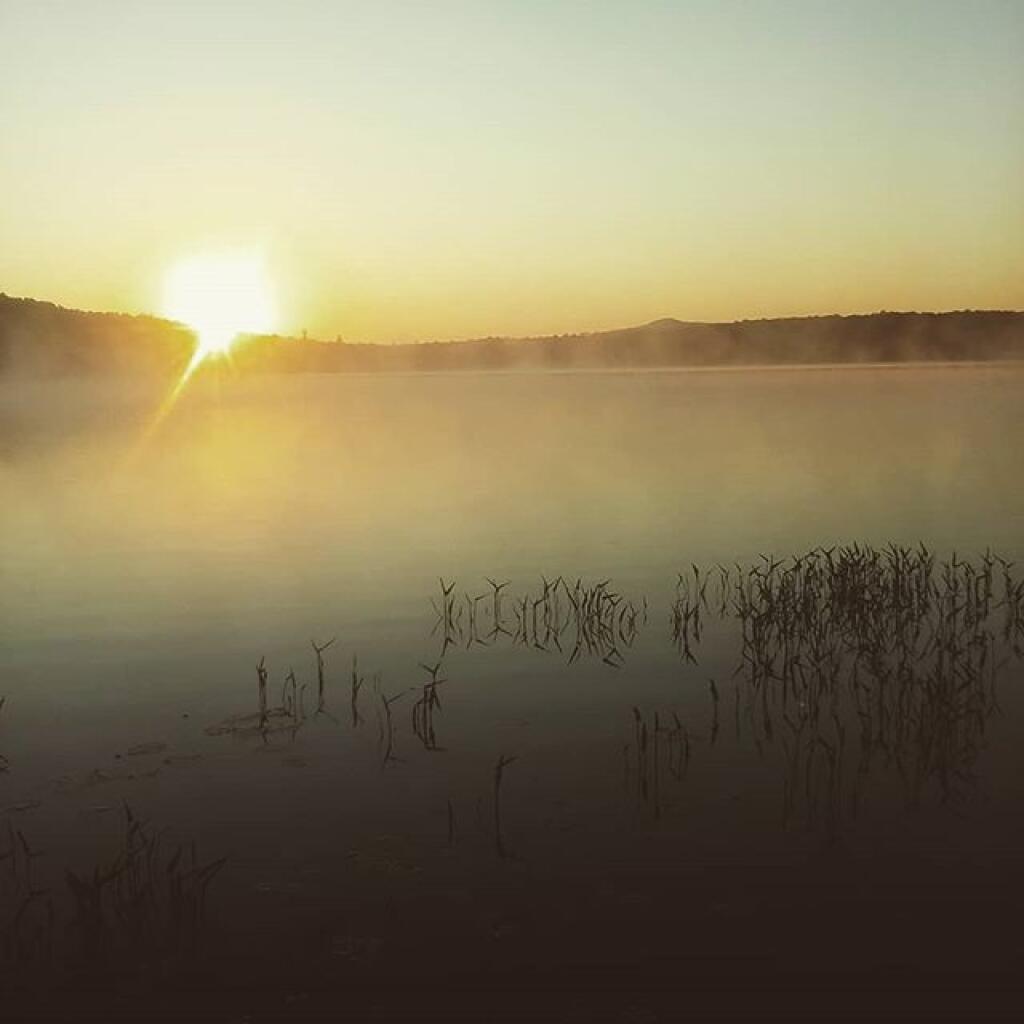 Photo: Morning has broken