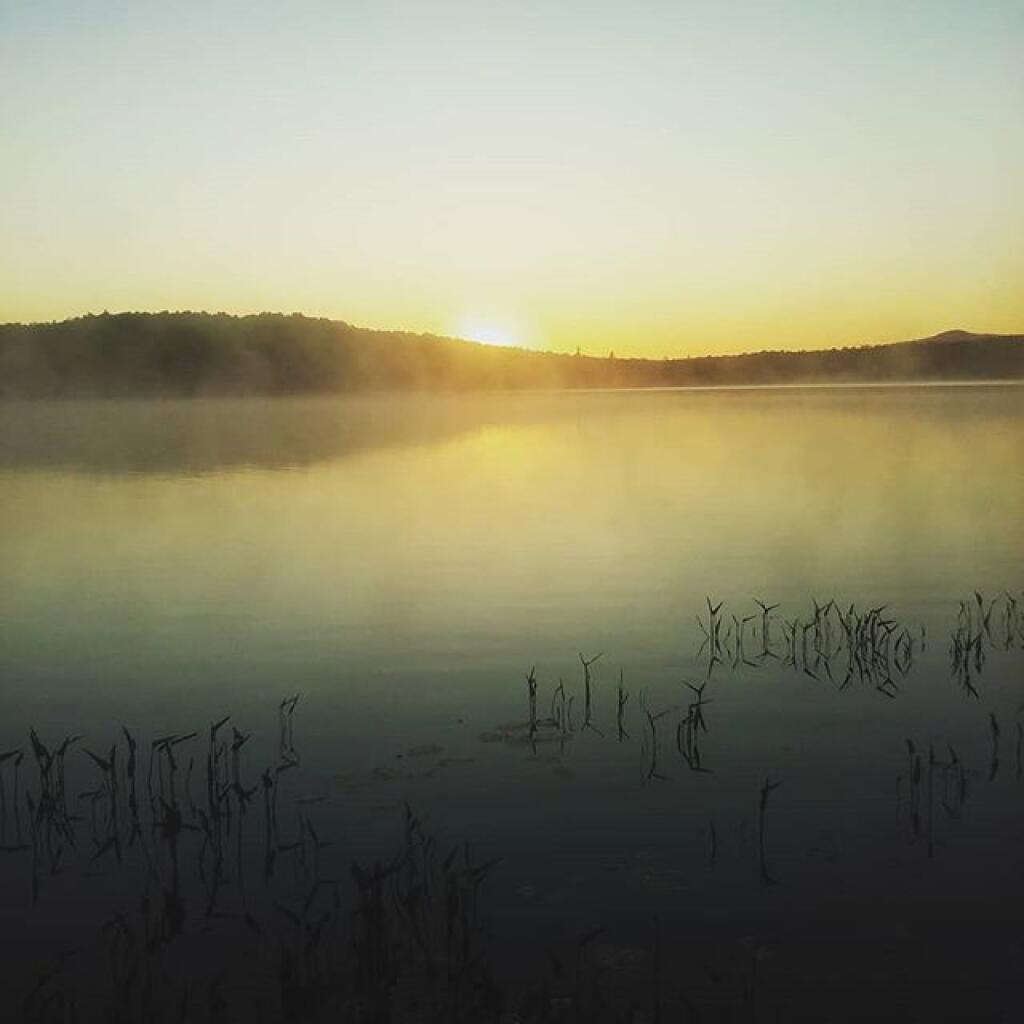 Photo: Sun, here she comes Photo: Sun, here she comes