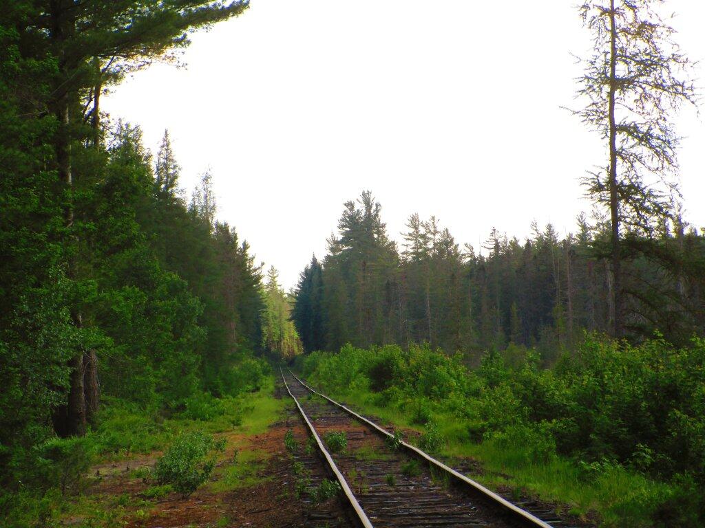 Photo: Along The Adirondack Scenic Railroad Tracks