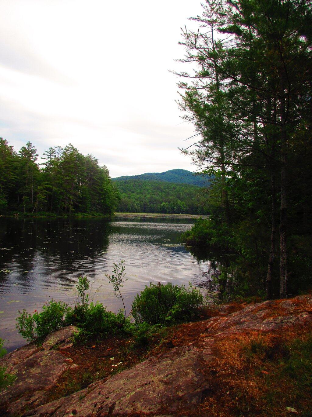 Photo: Campsite View