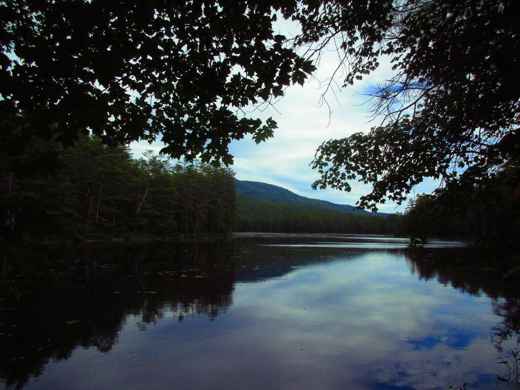 Photo: Hammond Pond