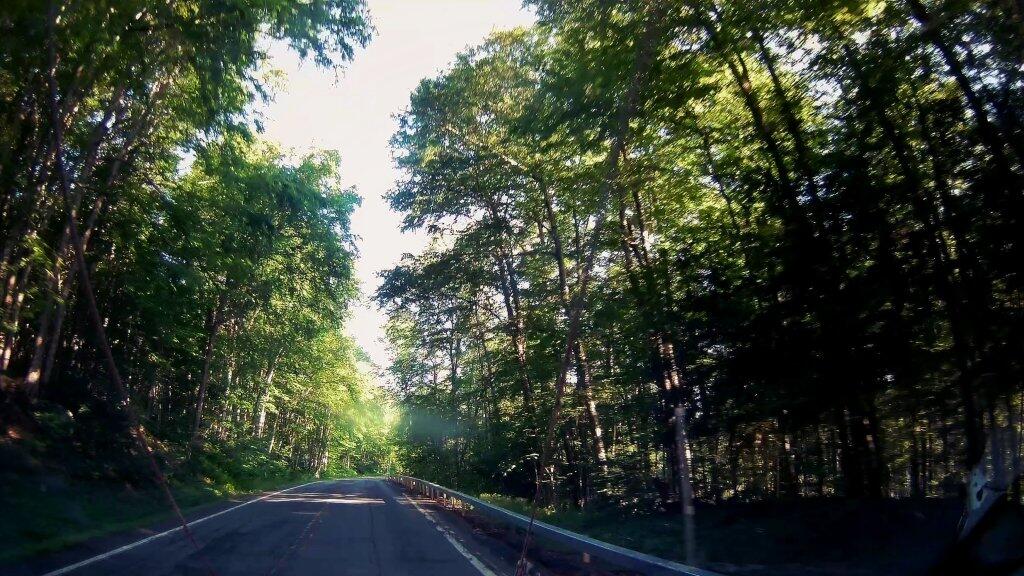 Photo: Bumpy Old NY 421 Photo: Bumpy Old NY 421