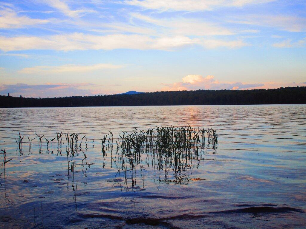 Photo: Evening