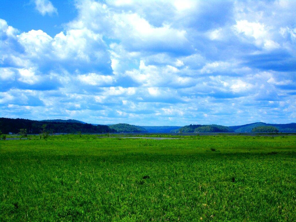 Photo: West Across The Lake Photo: West Across The Lake