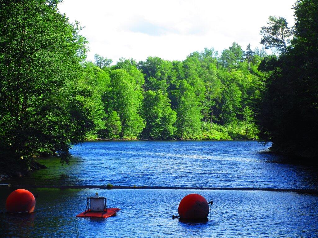 Photo: End Of Lows Lake