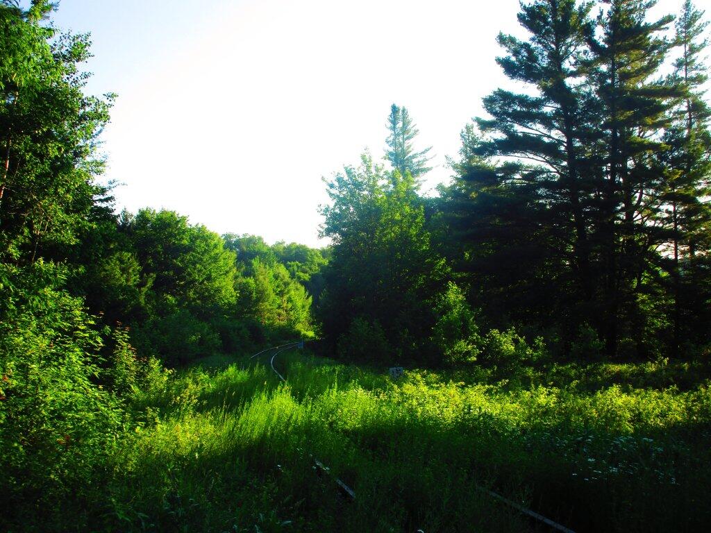 Photo: Forgotten Curve