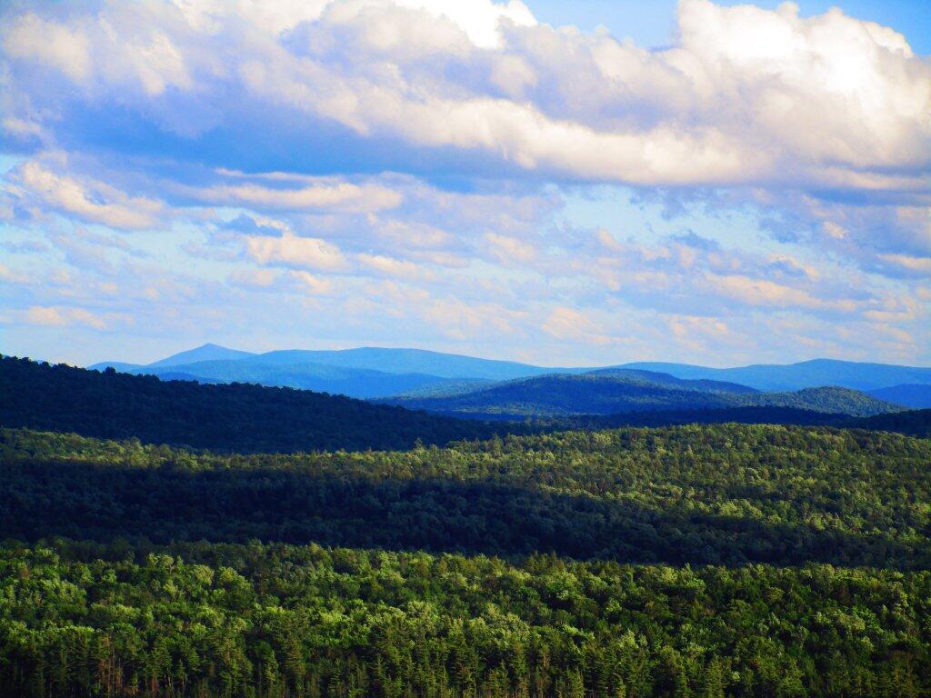 Photo: Summer Evening In Adirondacks