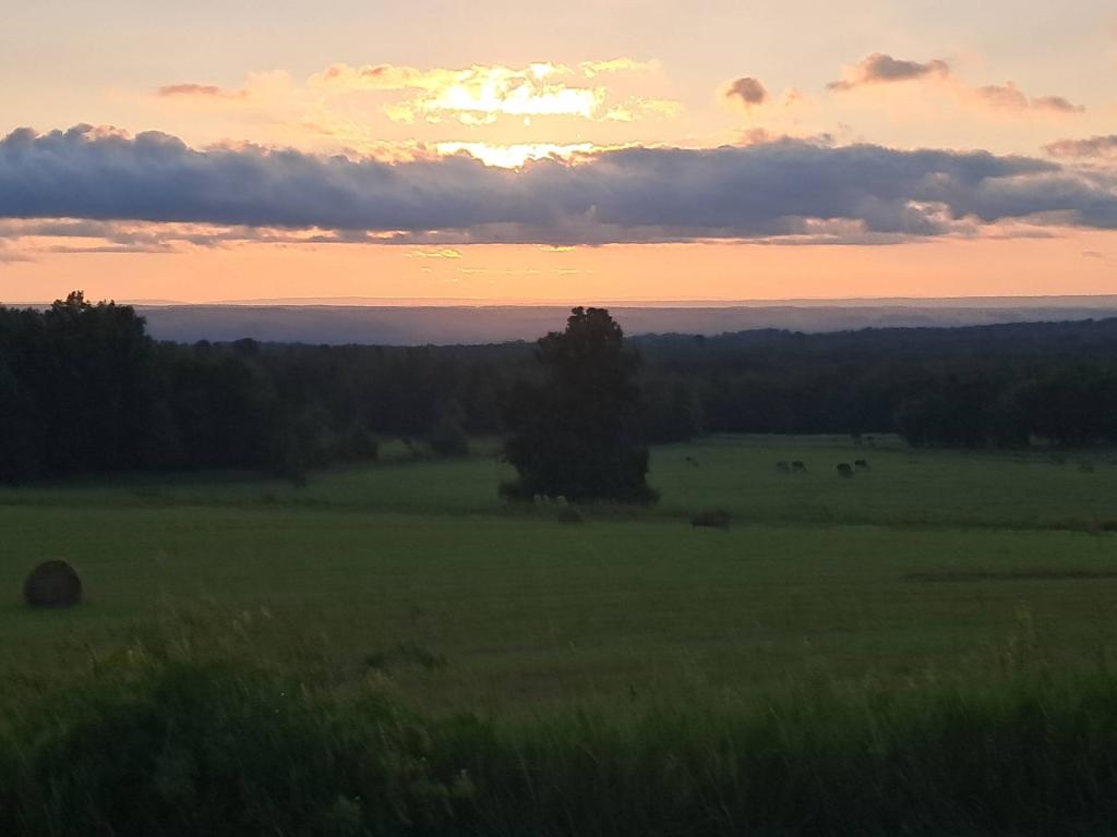 Photo: Evening Over Seneca Lake  [Expires August 14 2026]