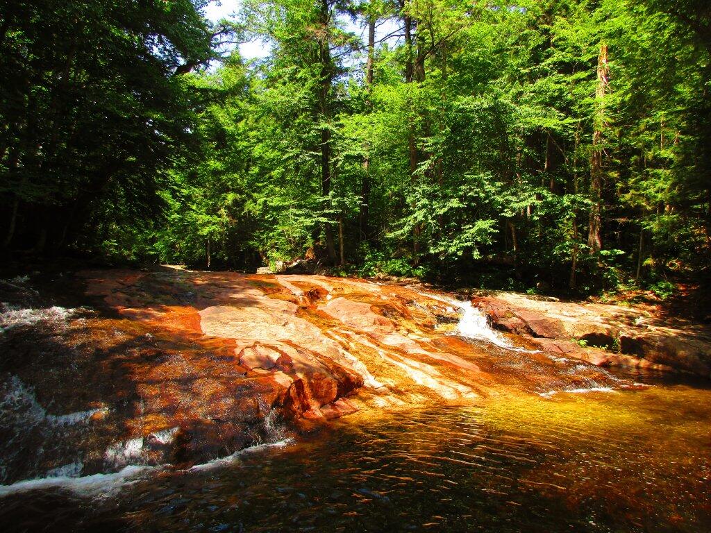 Photo: Gentle Drop Into A Golden Pool Photo: Gentle Drop Into A Golden Pool