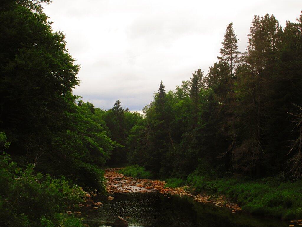 Photo: Dreary