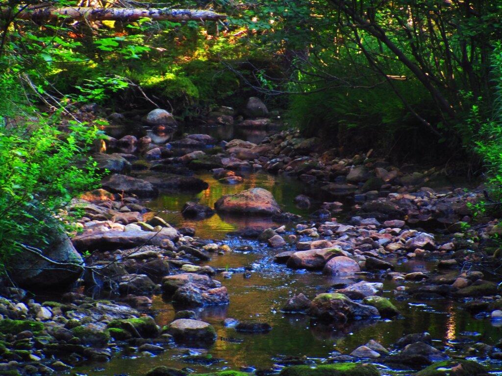 Photo: Hard To Swim Here