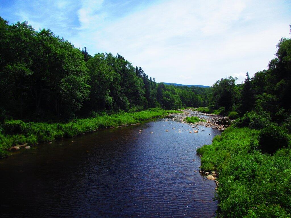 Photo: Nice Swimming Hole