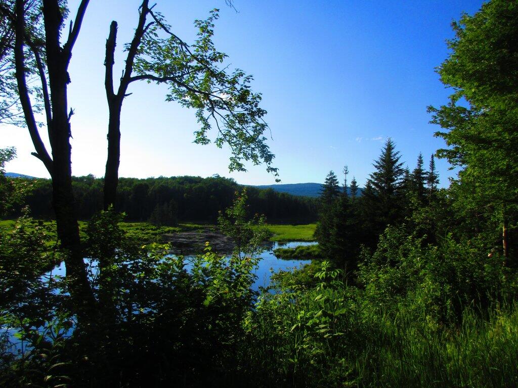 Photo: Shep Meadow
