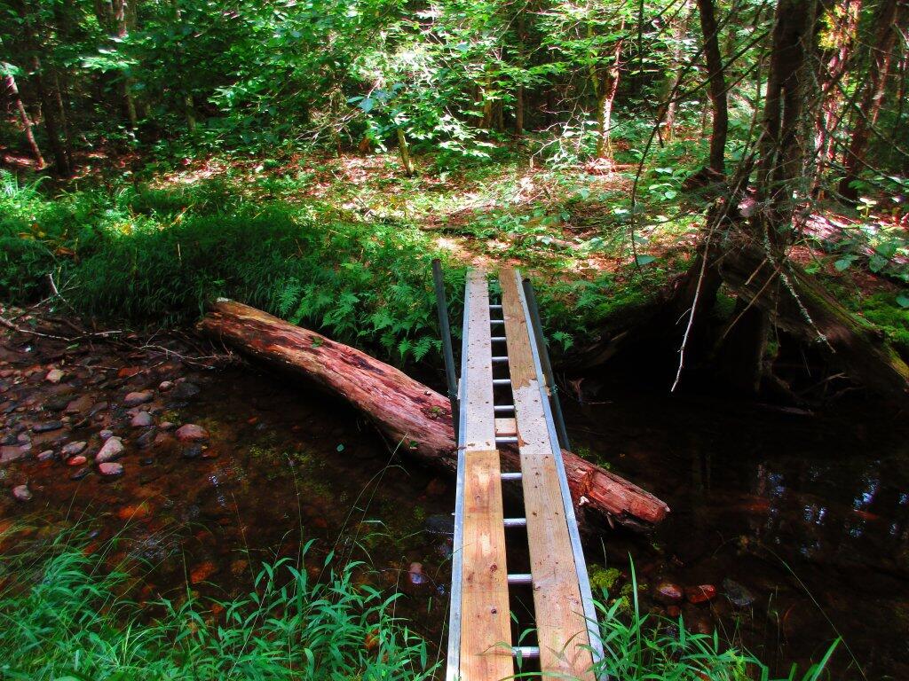 Photo: Homemade Bridge