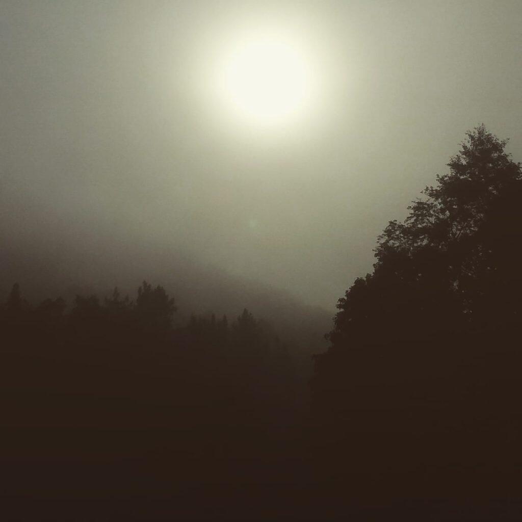Photo: Foggy morning