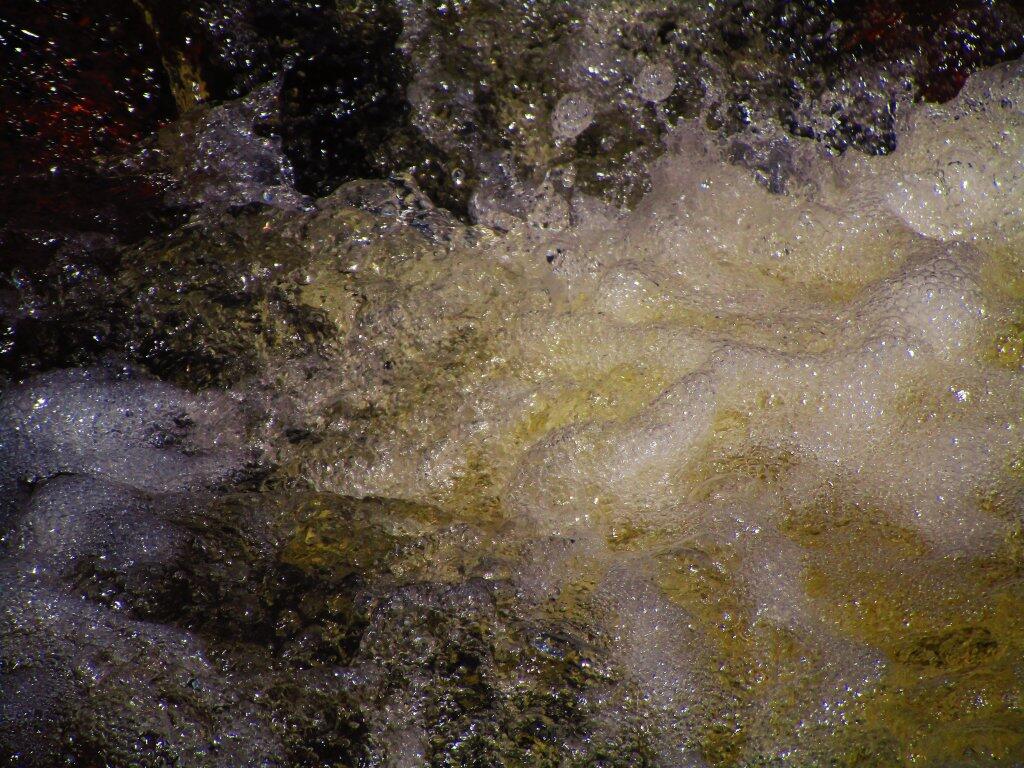 Photo: Froth Photo: Froth