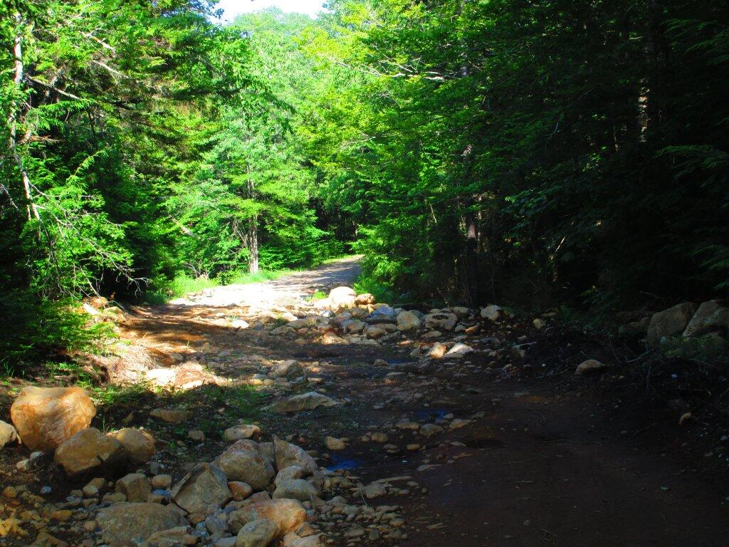 Photo: Washout Along East Canada Creek