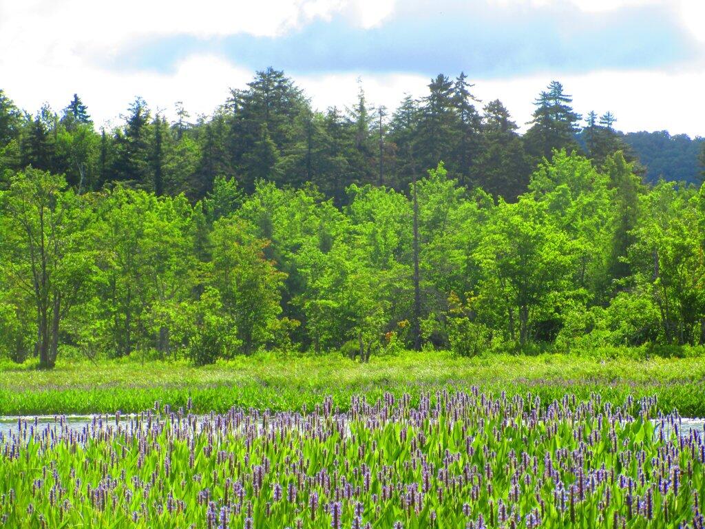 Photo: Sacandaga River Photo: Sacandaga River
