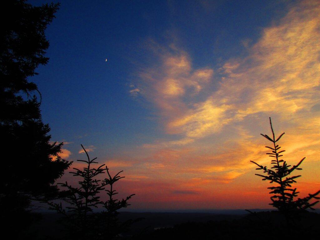 Photo: Moon