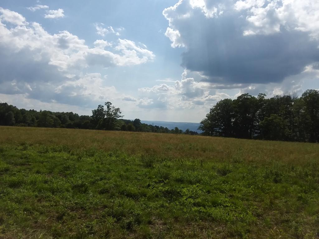 Photo: Looking west towards Seneca Lake Photo: Looking west towards Seneca Lake