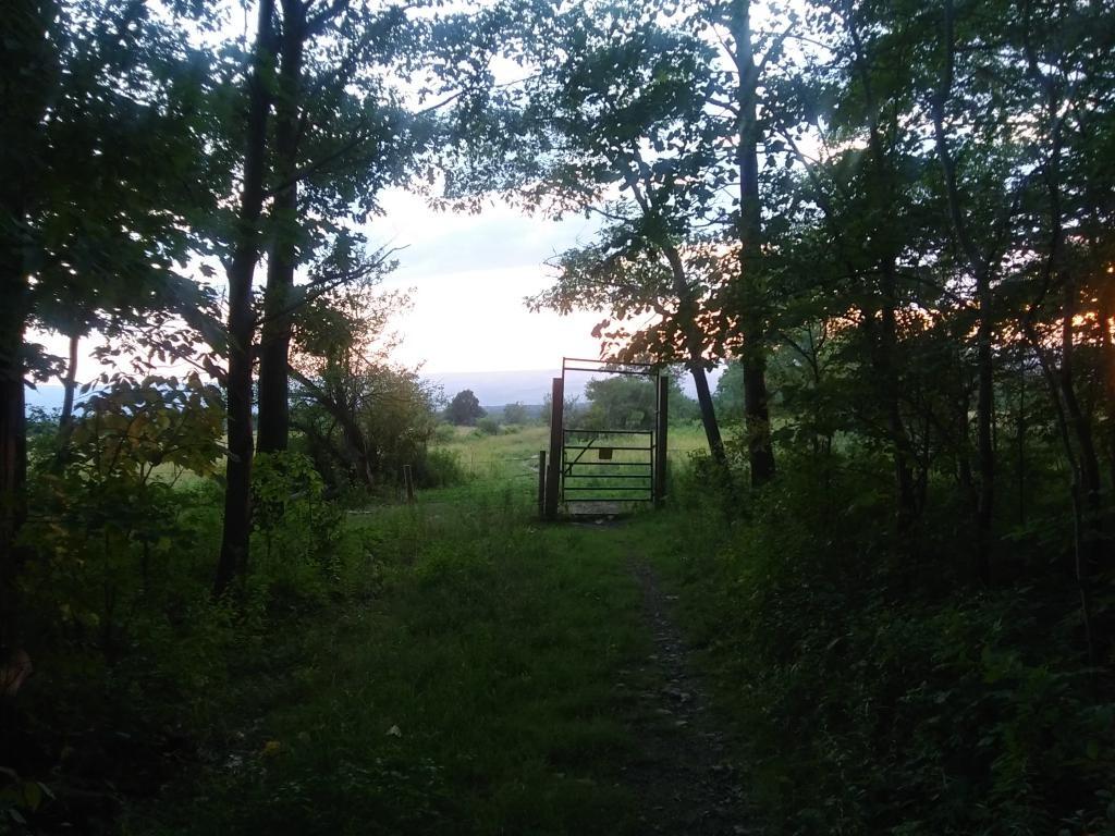 Photo: Don't forget to close the gate Photo: Don't forget to close the gate